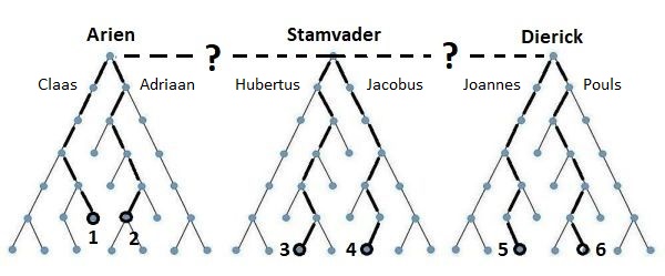 6 afstammingslijnen2